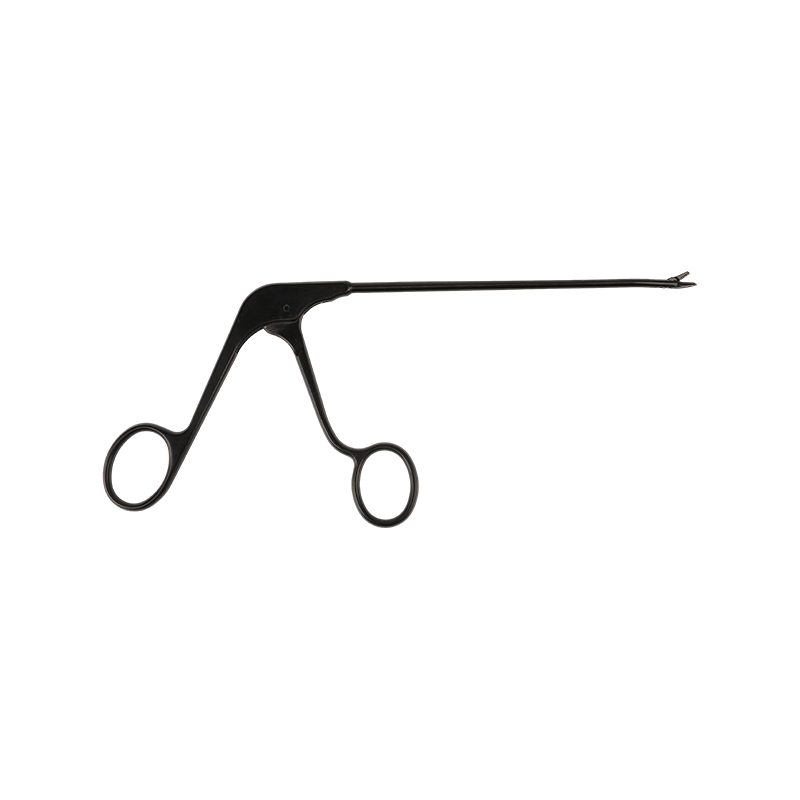 Forceps pulposus núicléas cainéal mór